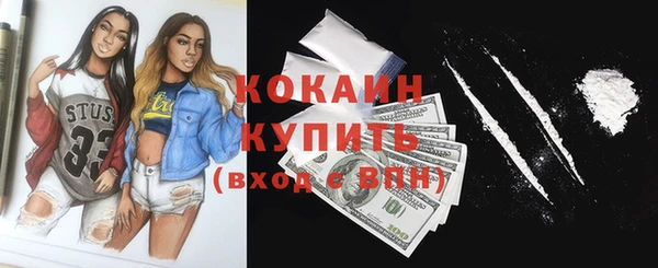 индика Богданович