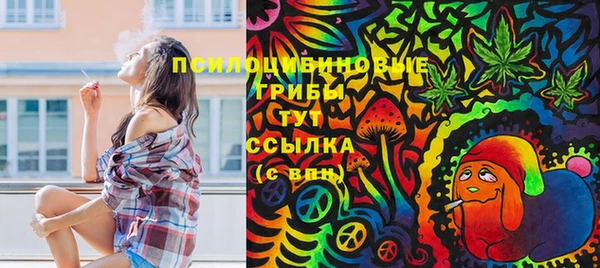 крисы Белокуриха