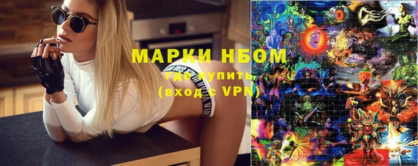 индика Богданович