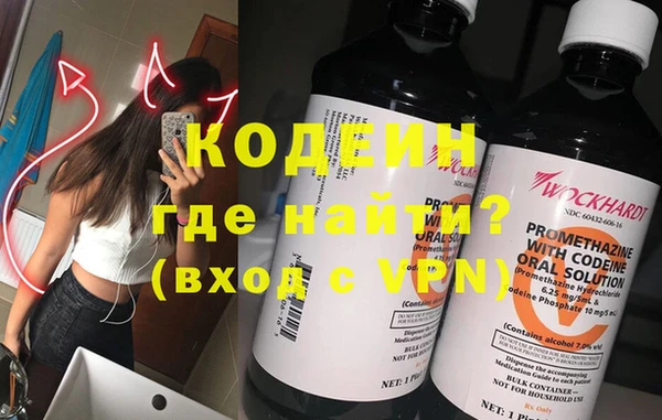 индика Богданович