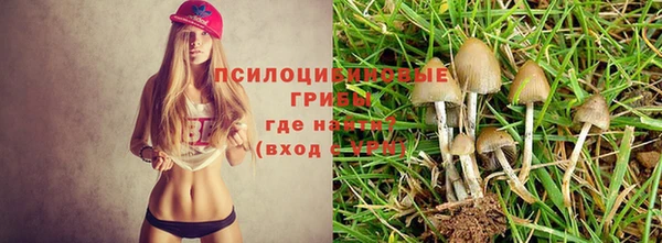 мяу мяу мука Богородицк