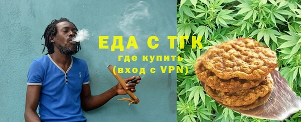 индика Богданович