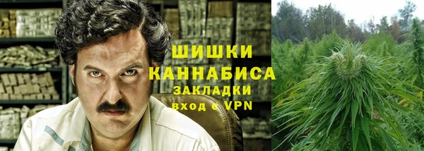 крисы Белокуриха