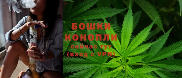 индика Богданович