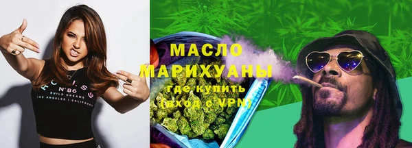 индика Богданович