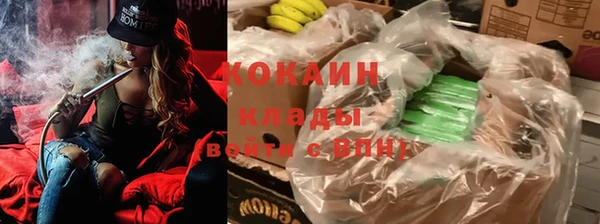 крисы Белокуриха