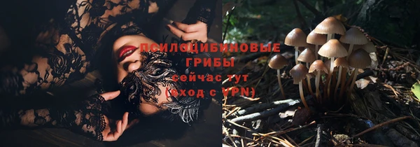 стафф Белоозёрский