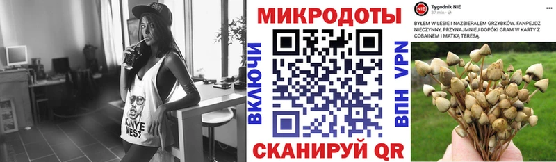 Галлюциногенные грибы MAGIC MUSHROOMS  Михайлов 