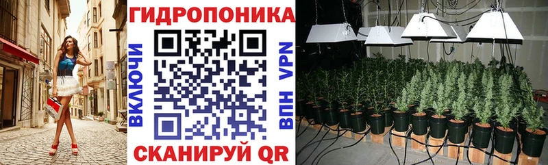 Шишки марихуана Ganja  OMG как войти  Михайлов 